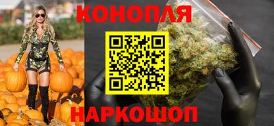 дмт Будённовск