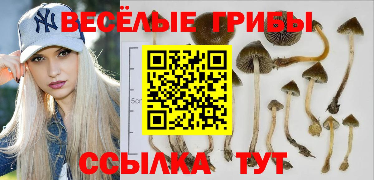 Галлюциногенные грибы мухоморы Каменск-Уральский